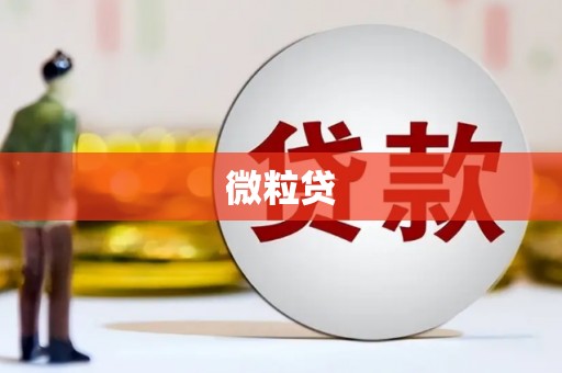 安化微粒贷