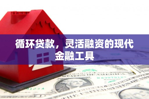 盐田循环贷款，灵活融资的现代金融工具