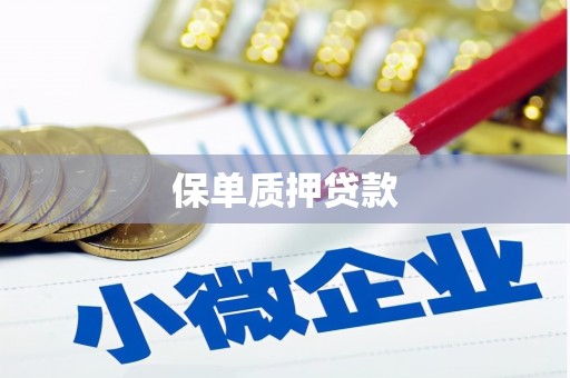 碑林保单质押贷款