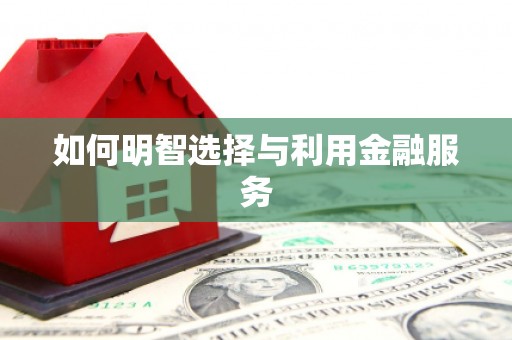 新港如何明智选择与利用金融服务
