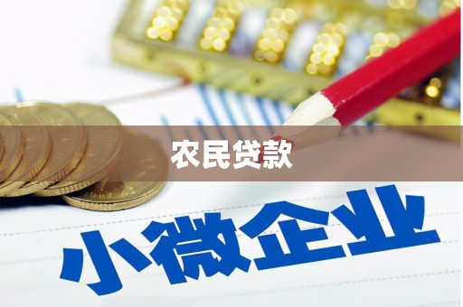 金秀农民贷款