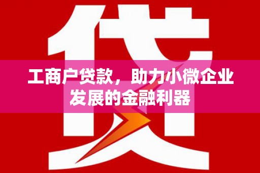 灵武工商户贷款，助力小微企业发展的金融利器