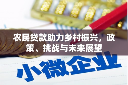 安乐农民贷款助力乡村振兴，政策、挑战与未来展望