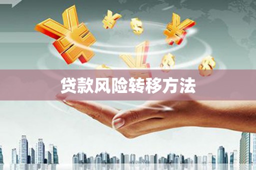 正镶白旗贷款风险转移方法