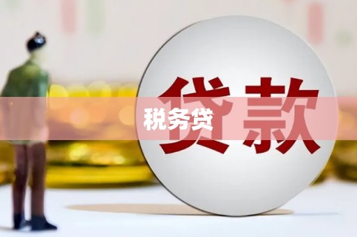 通山税务贷