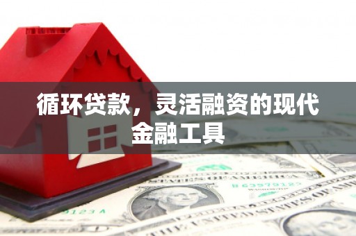 贡井循环贷款，灵活融资的现代金融工具