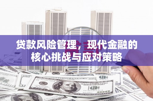巍山贷款风险管理，现代金融的核心挑战与应对策略