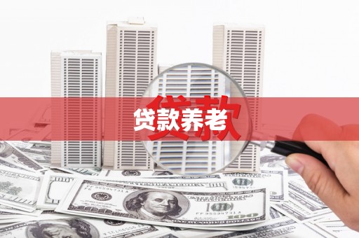 黄陂贷款养老