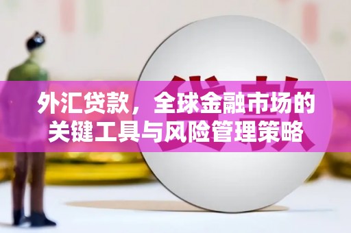 启东外汇贷款，全球金融市场的关键工具与风险管理策略
