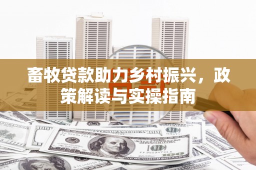 金安畜牧贷款助力乡村振兴，政策解读与实操指南