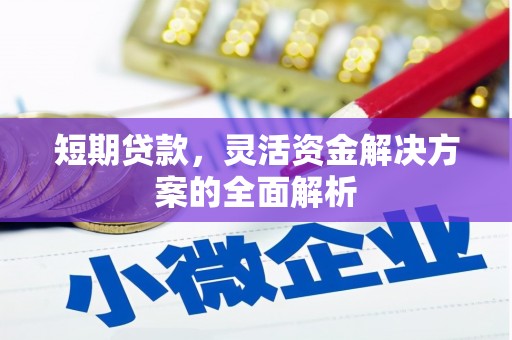 富顺短期贷款，灵活资金解决方案的全面解析