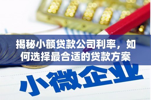 吉县揭秘小额贷款公司利率，如何选择最合适的贷款方案