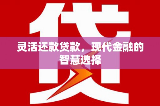 长洲灵活还款贷款，现代金融的智慧选择