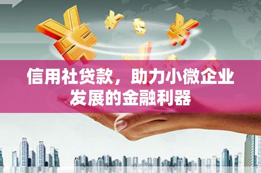 曲麻莱信用社贷款，助力小微企业发展的金融利器