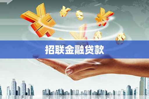理县招联金融贷款