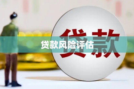 友谊贷款风险评估