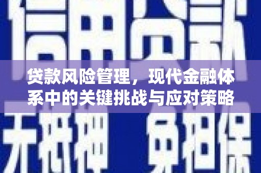 鹿城贷款风险管理，现代金融体系中的关键挑战与应对策略
