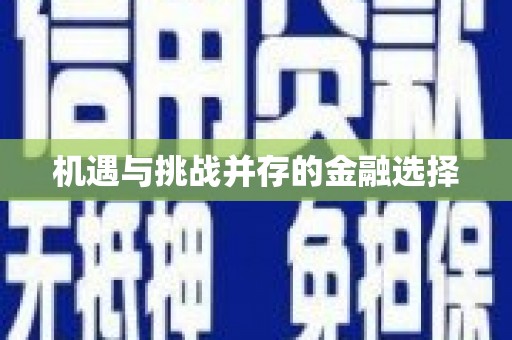 武川机遇与挑战并存的金融选择