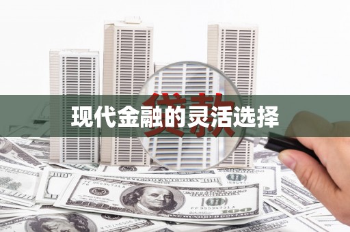 莱城现代金融的灵活选择