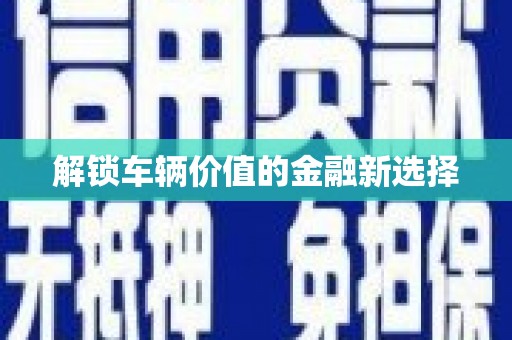 天涯解锁车辆价值的金融新选择