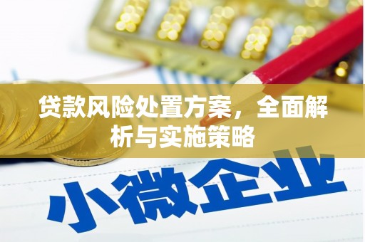 垣曲贷款风险处置方案，全面解析与实施策略
