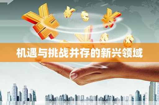 海港机遇与挑战并存的新兴领域