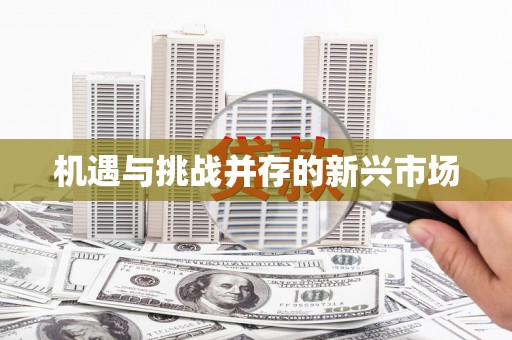 阳山机遇与挑战并存的新兴市场