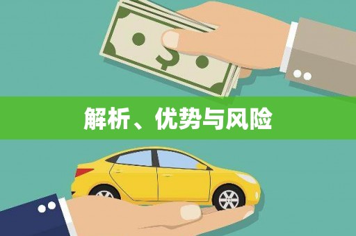 新会解析、优势与风险
