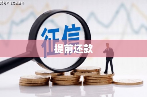 华龙提前还款