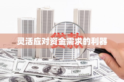 洪雅灵活应对资金需求的利器