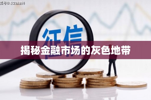 赫山揭秘金融市场的灰色地带