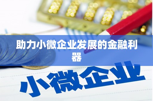 特克斯助力小微企业发展的金融利器