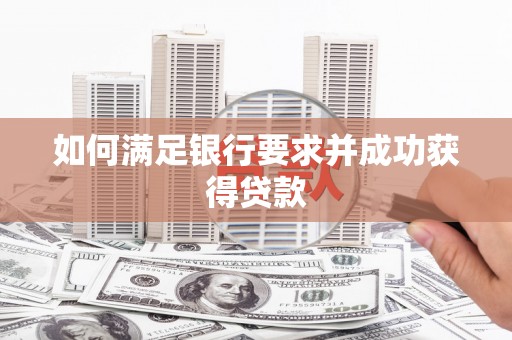 儋州如何满足银行要求并成功获得贷款