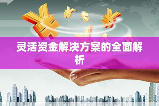 颍州灵活资金解决方案的全面解析