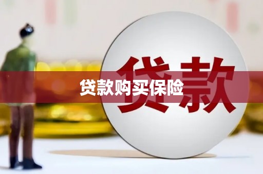 苍溪贷款购买保险
