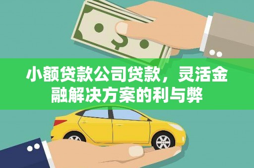 碌曲小额贷款公司贷款，灵活金融解决方案的利与弊