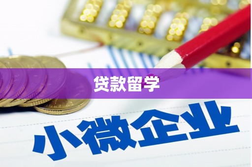 边坝贷款留学